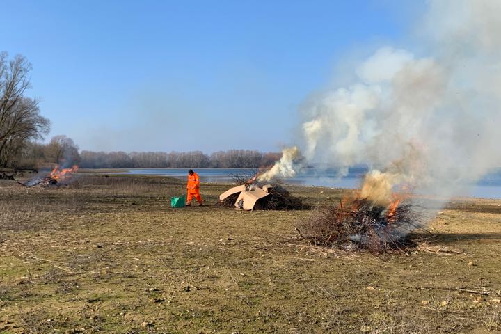 Grafham Water Fly Fishers GWFFA bank clearing